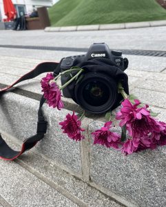 Ulkokivirappusilla kamera ja punaisia kukkia